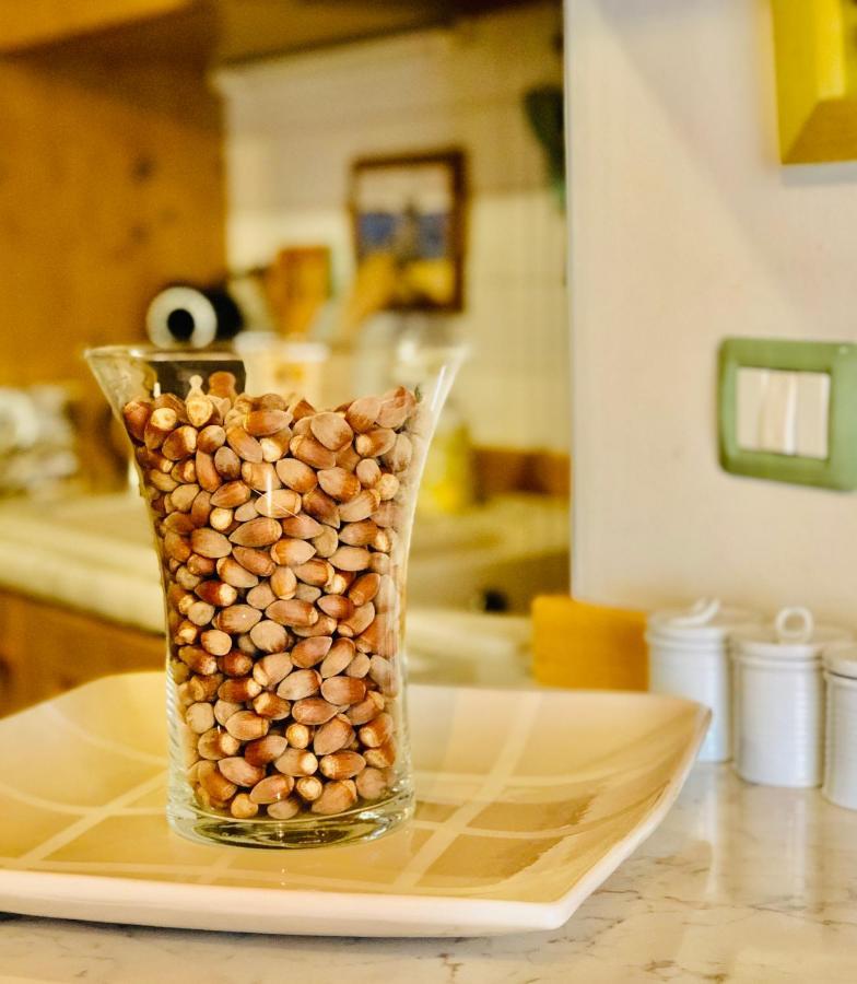“Oltre Il Confine” Apartment Belluno Ngoại thất bức ảnh